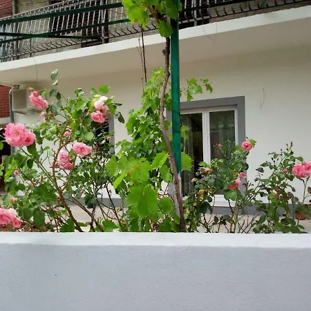Apartmani Alma Skradin Exterior photo