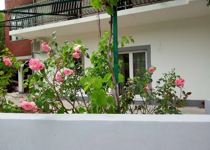 Apartmani Alma